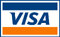 Logo Visa Card